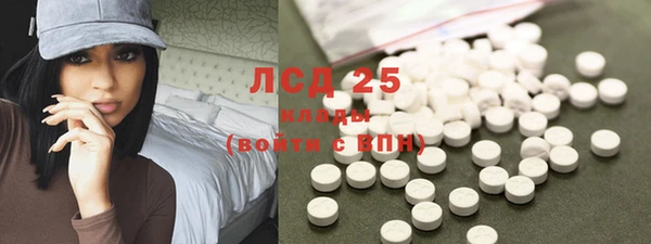 mdpv Каменка