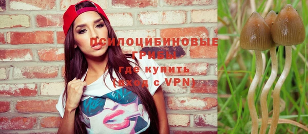 винт Каменногорск