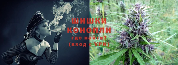 mdpv Каменка