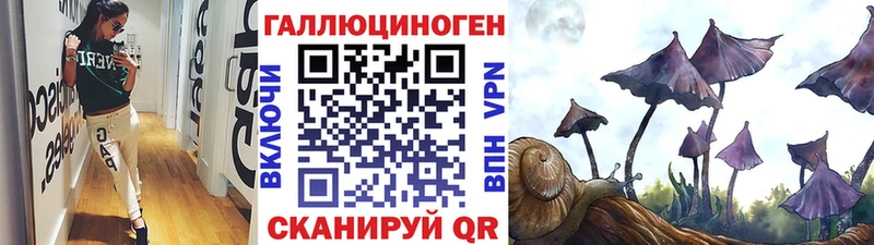 Псилоцибиновые грибы Psilocybe Ивдель